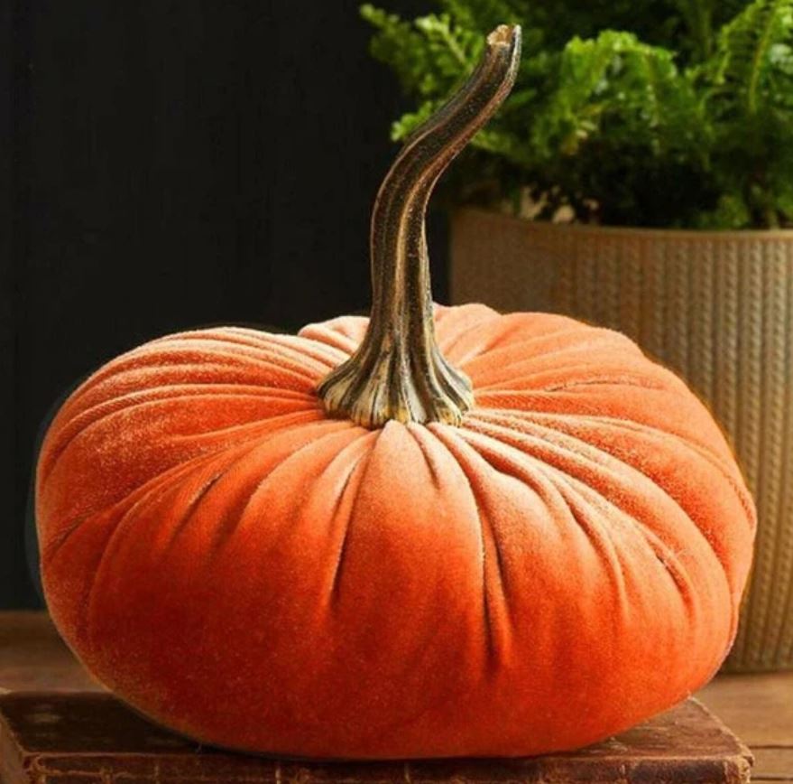 pumpkin decor