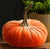 pumpkin decor