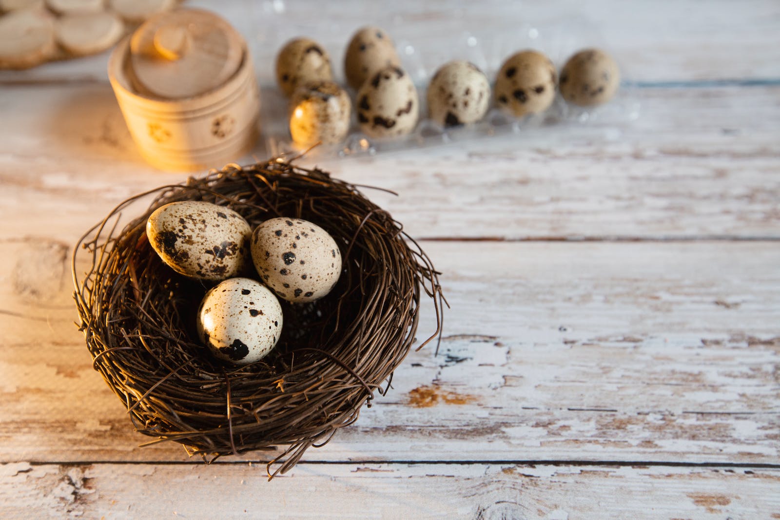 egg storage box