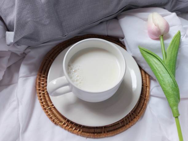 Embracing the Soulful Beauty of Rattan Coasters: A Journey of Elegance, Sustainability, and Timeless Charm